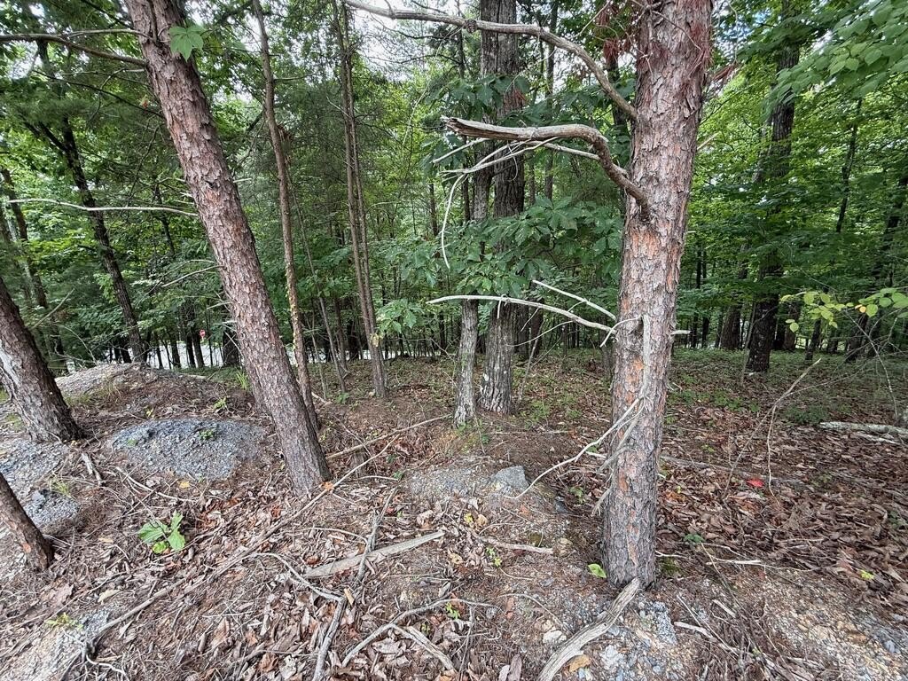 Picture 9