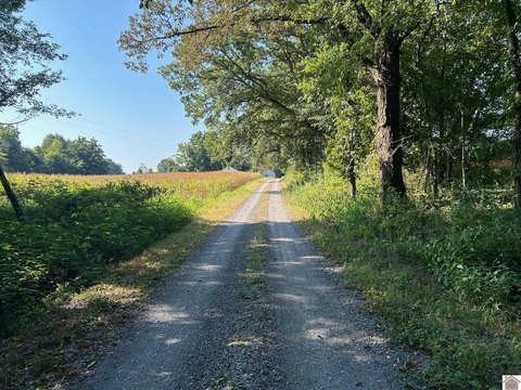 Agricultural Land with Tillable Acres