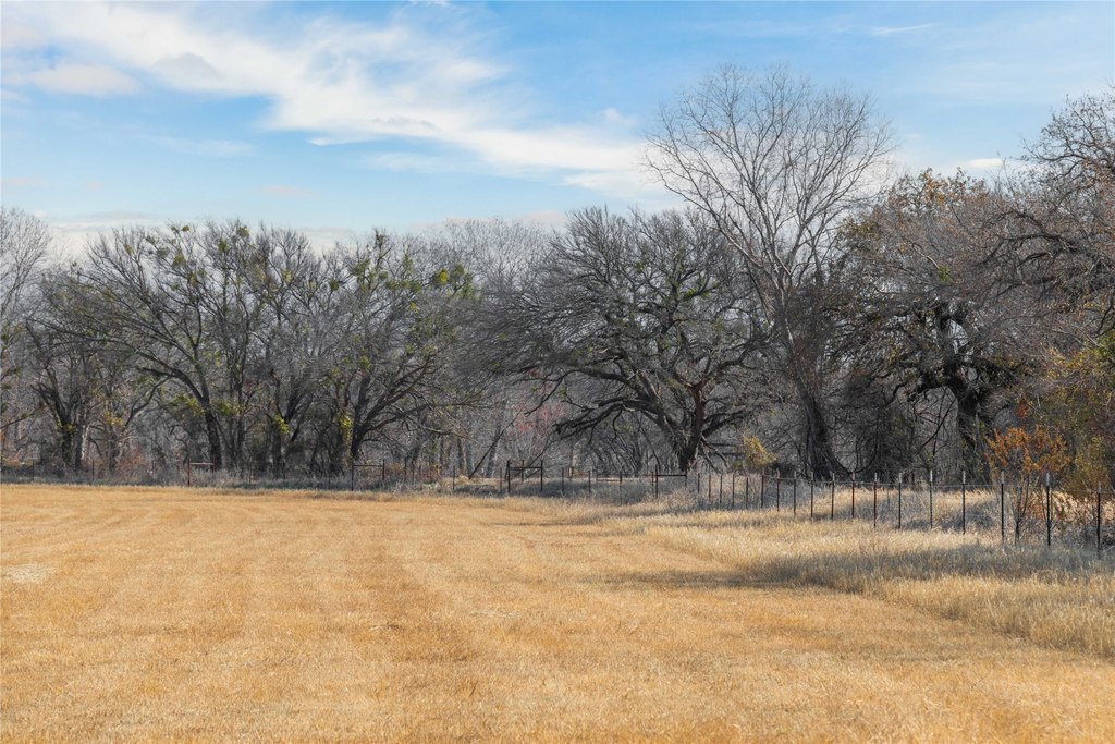 Picture 31