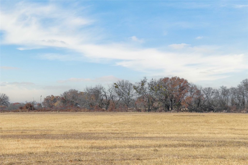 Picture 29