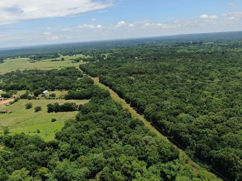 LAND - Palestine, TX