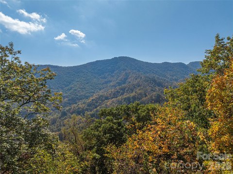 Land, Canton, NC