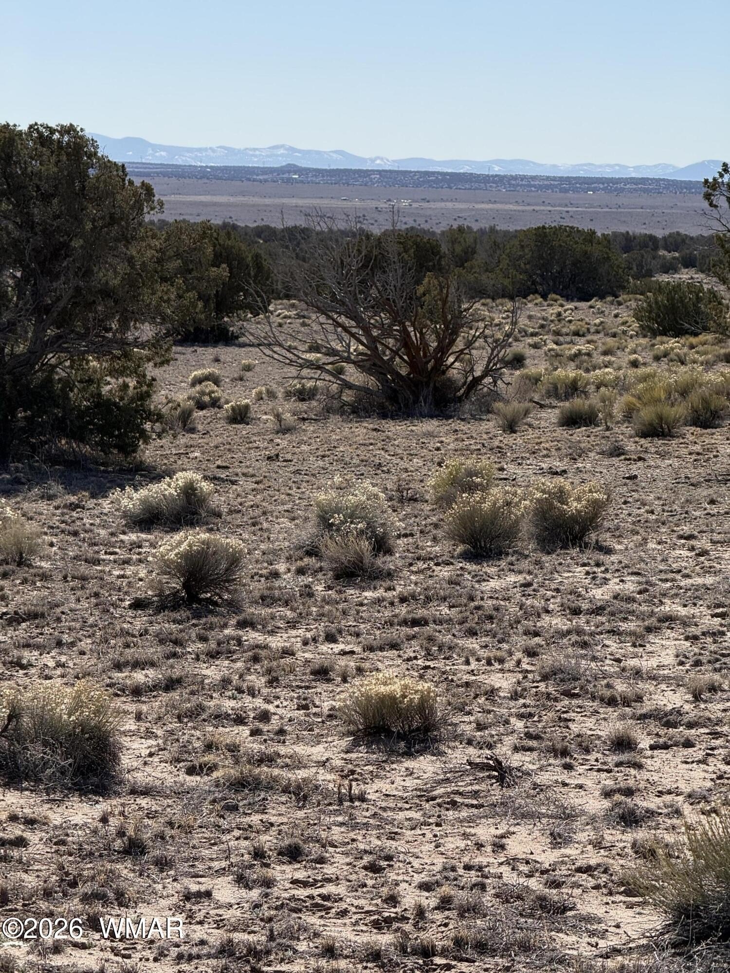 Land in St. Johns, AZ