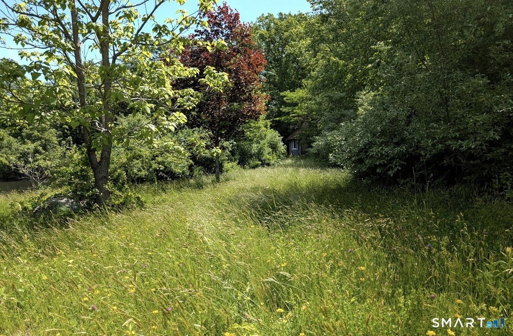 Picture 22