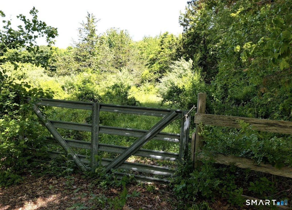 Picture 23