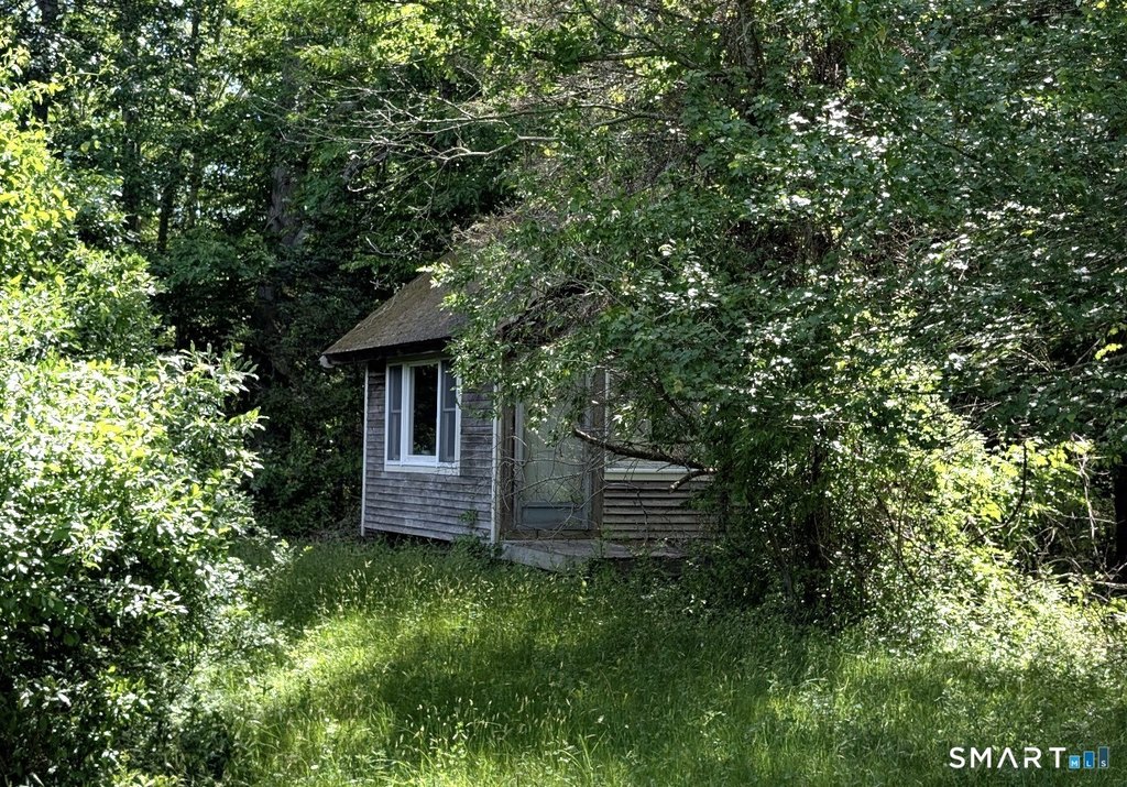 Picture 25