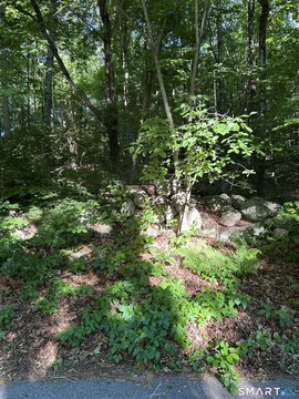 LAND - Wilton, CT