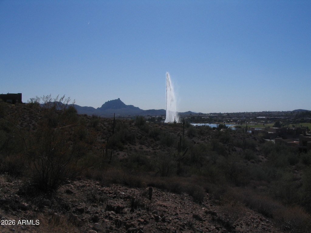 Picture 17