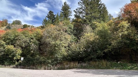 LOTS/LAND, Pocatello, ID