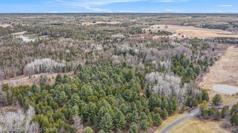 80 Acres Wooded Land Paradise