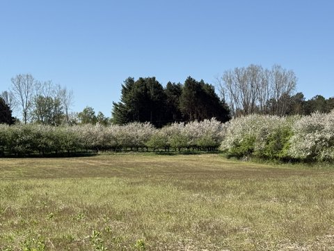 Macomb County Recreational Property