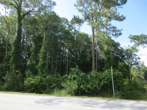 Wooded Residential Land Parcel