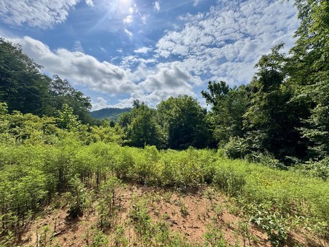 LAND - Del Rio, TN