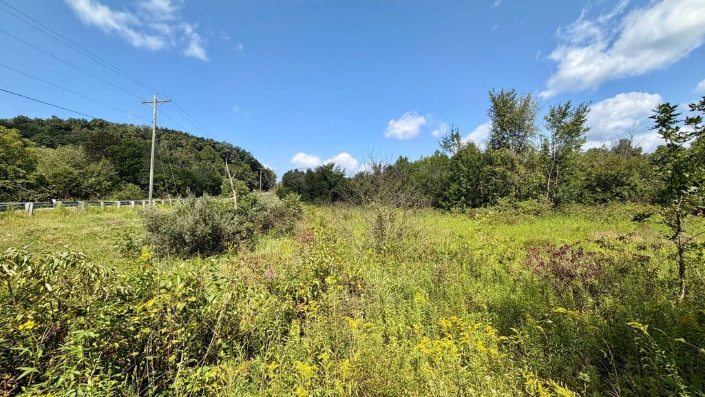 Picture 25