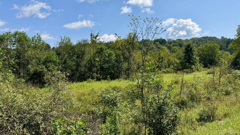 Land, Freeport, OH