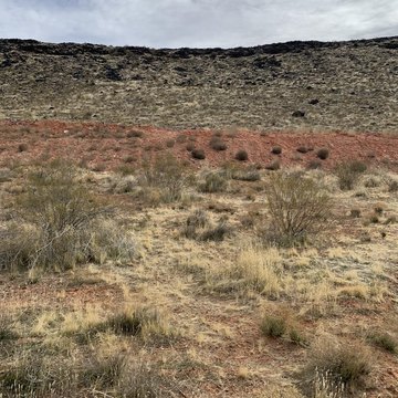 Residential Land in Dixie Springs