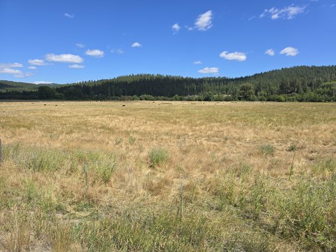 Agricultural Land with Creek