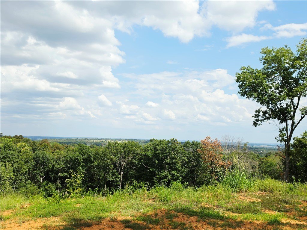 Picture 24