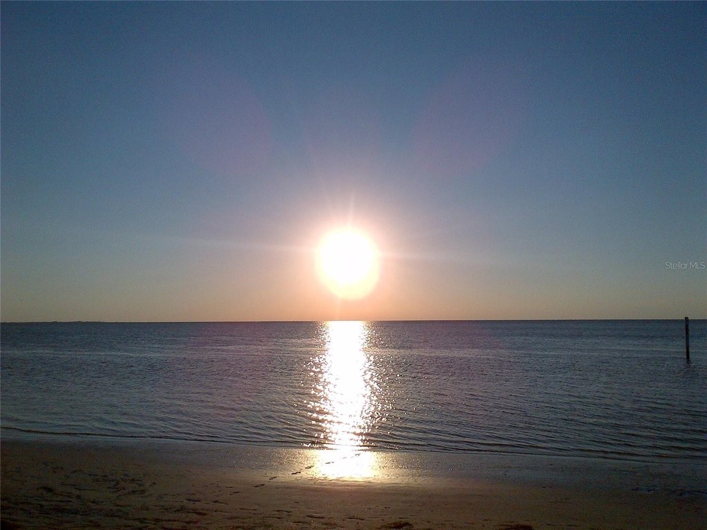 Picture 21
