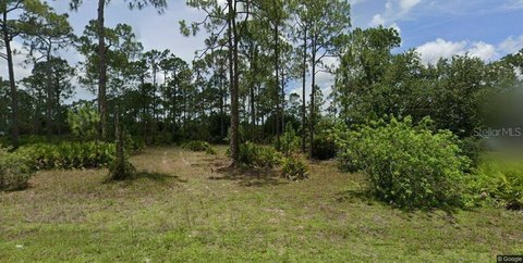 Land, LEHIGH ACRES, FL