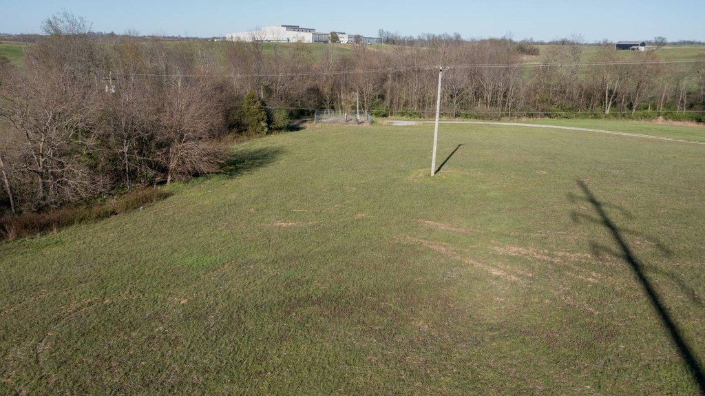 Picture 15