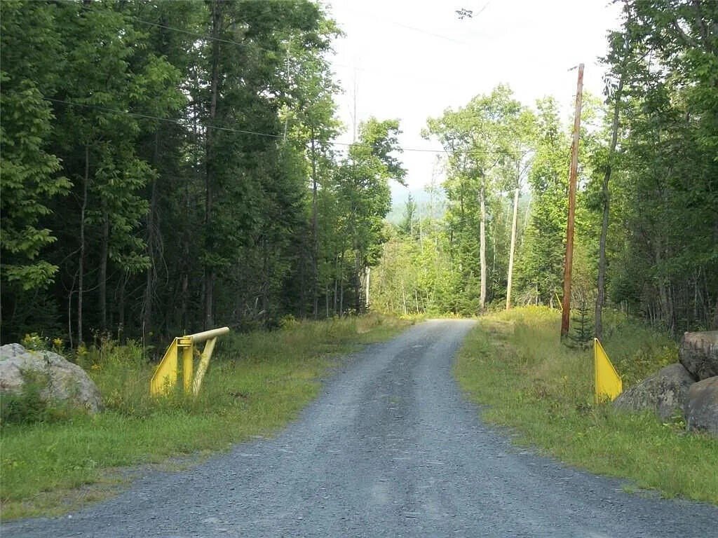 Picture 20
