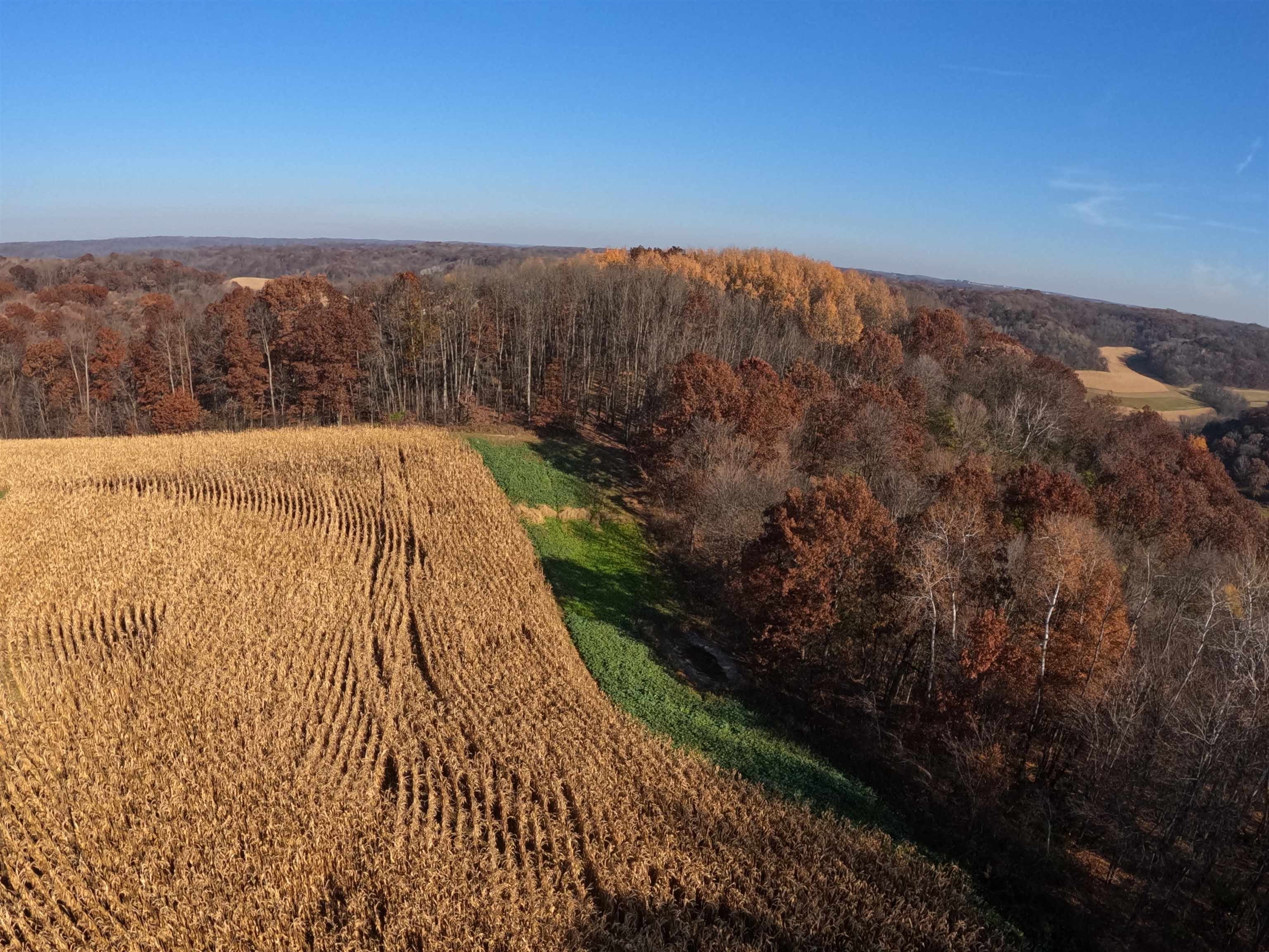 Driftless Richland County Hunting Property