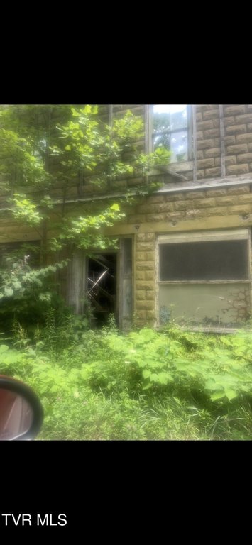 Picture 7