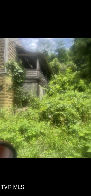 Picture 4