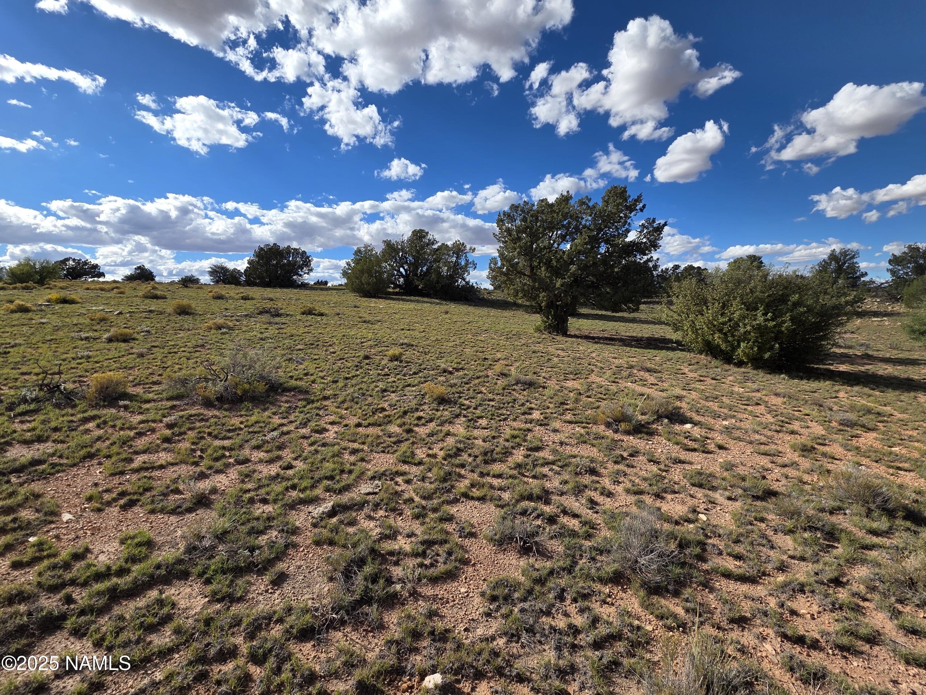 Serene High Desert Retreat Land
