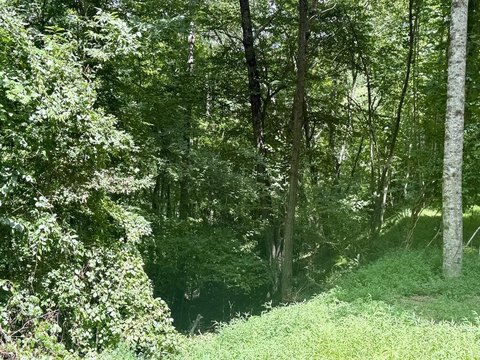 Vacant Lot, Brasstown, NC