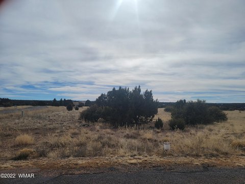 LAND - Show Low, AZ