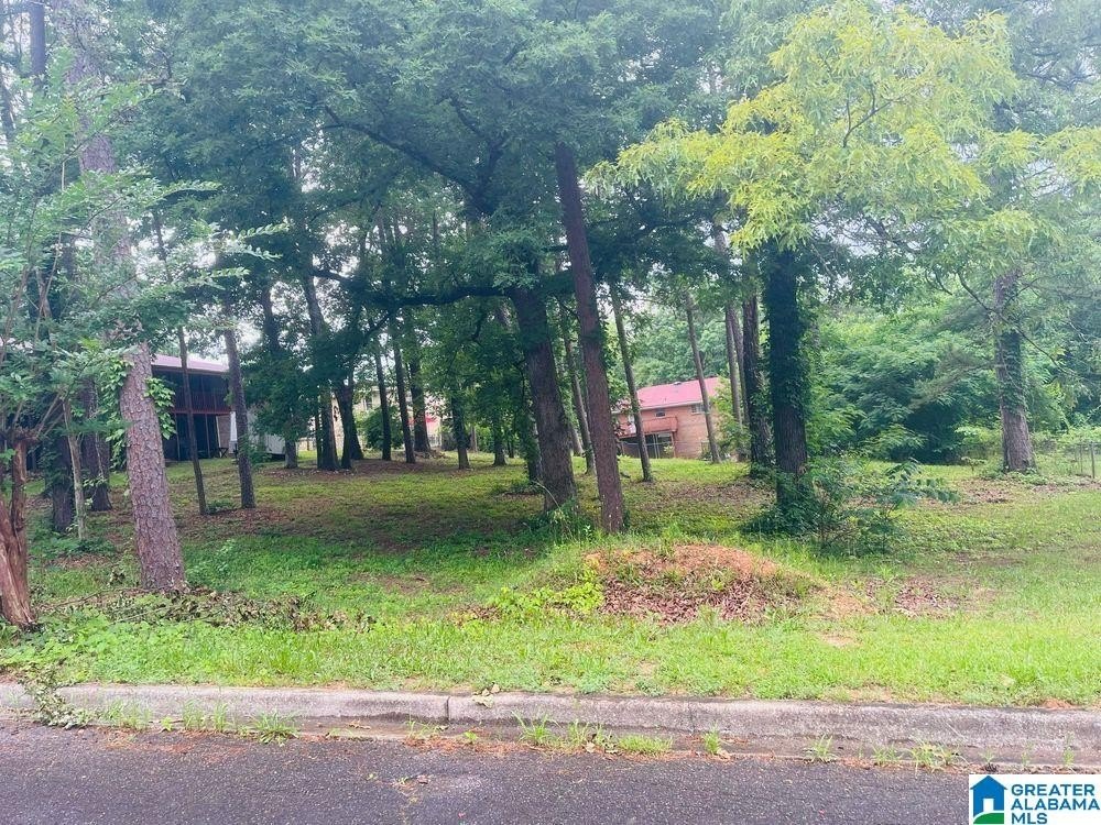 Picture 4
