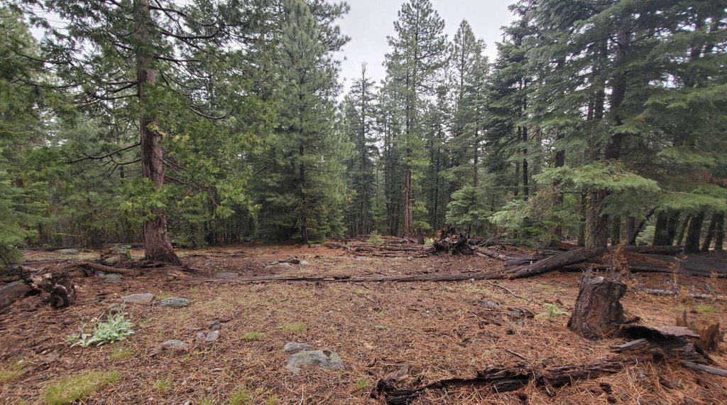Picture 37