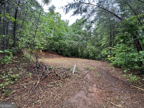 Land in Clayton, Georgia