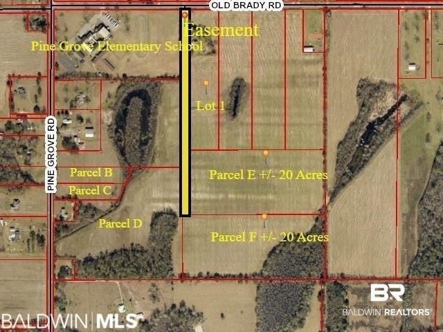 Picture 6