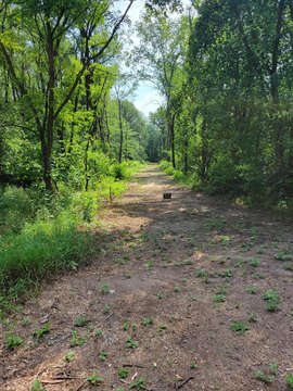 Buildable Lot in Lake Village