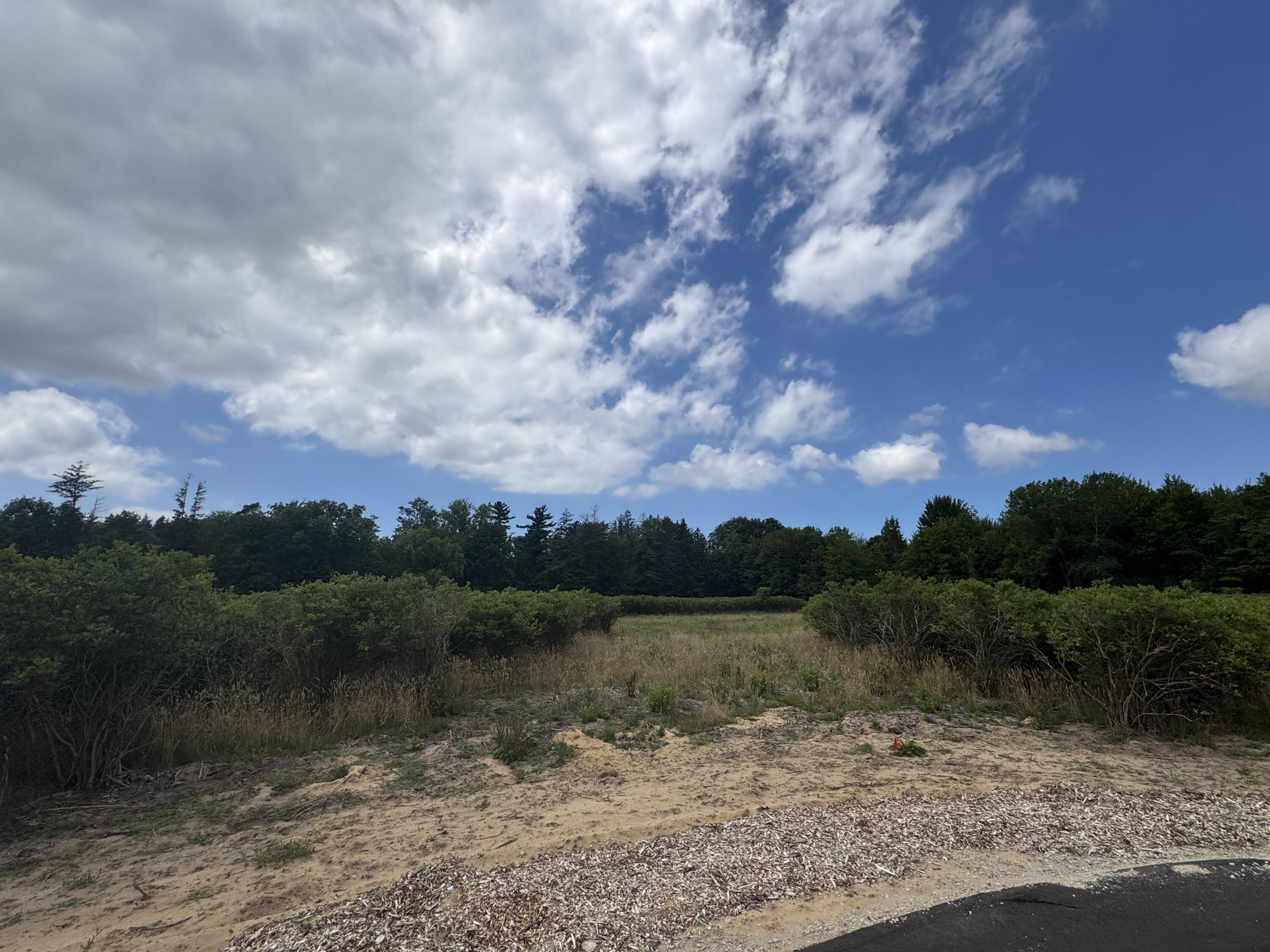 Land Near Lake Michigan Beaches