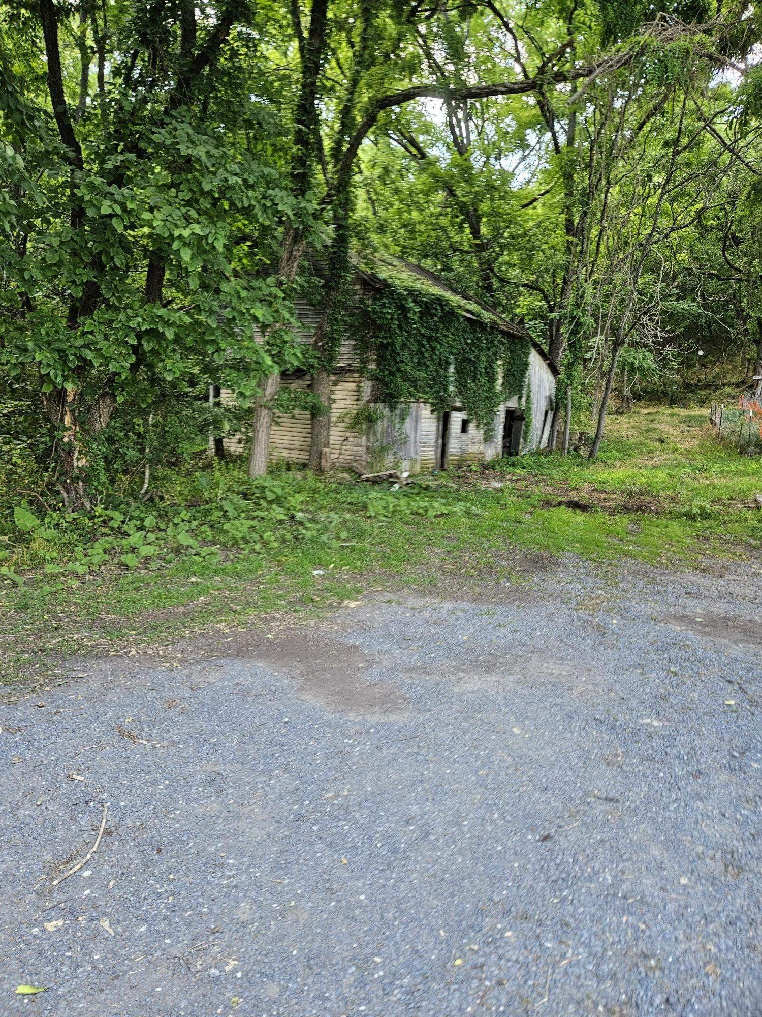 Secluded Wooded Lot with Pond