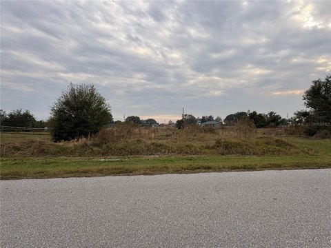 PUNTA GORDA Land For Sale