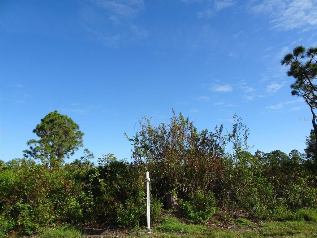 Picture 6