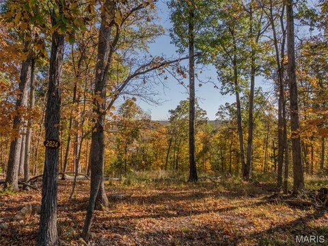 Innsbrook Land with Captivating Views