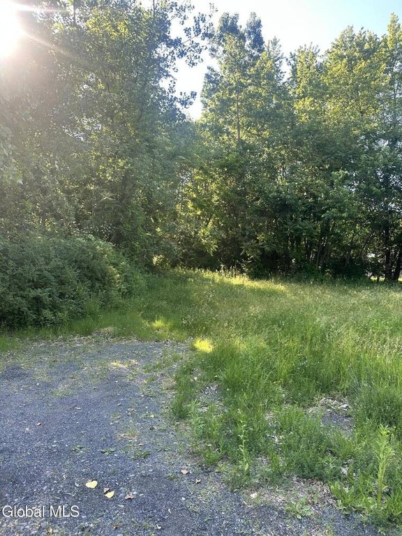 Picture 6