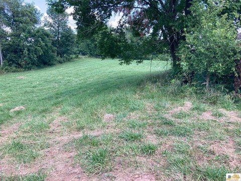 Hestand, KY - 10.4 Acreage