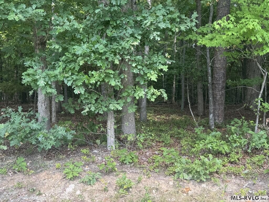 Picture 11