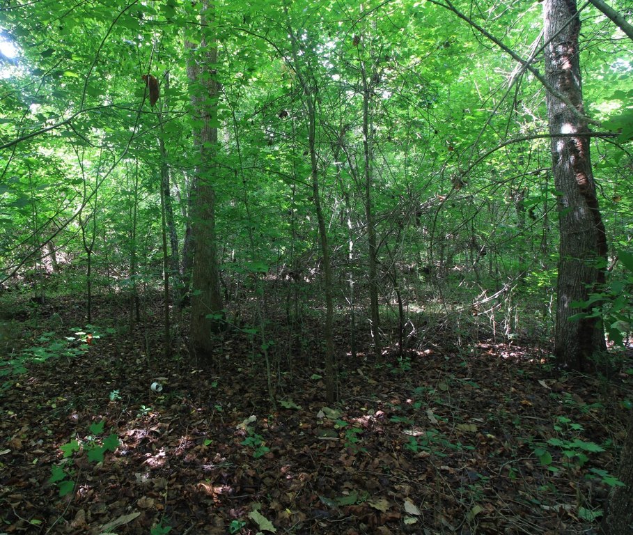 Picture 17