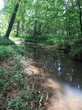 Land, Reidsville, NC