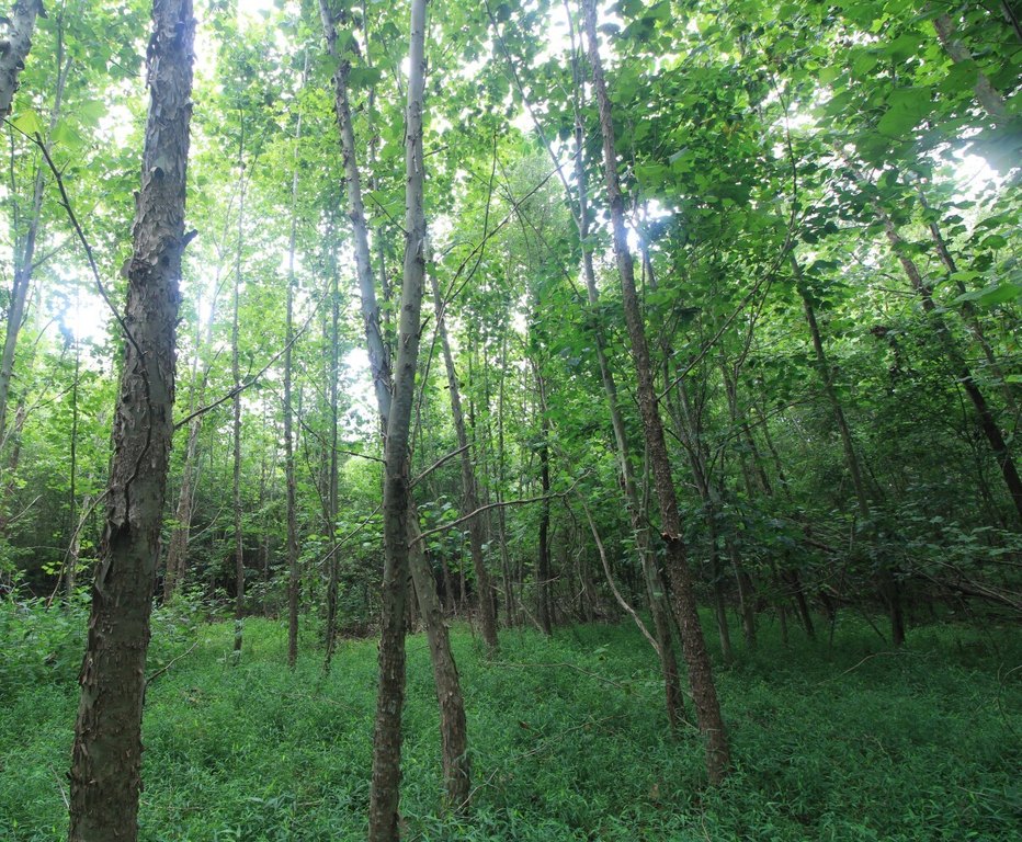 Picture 18