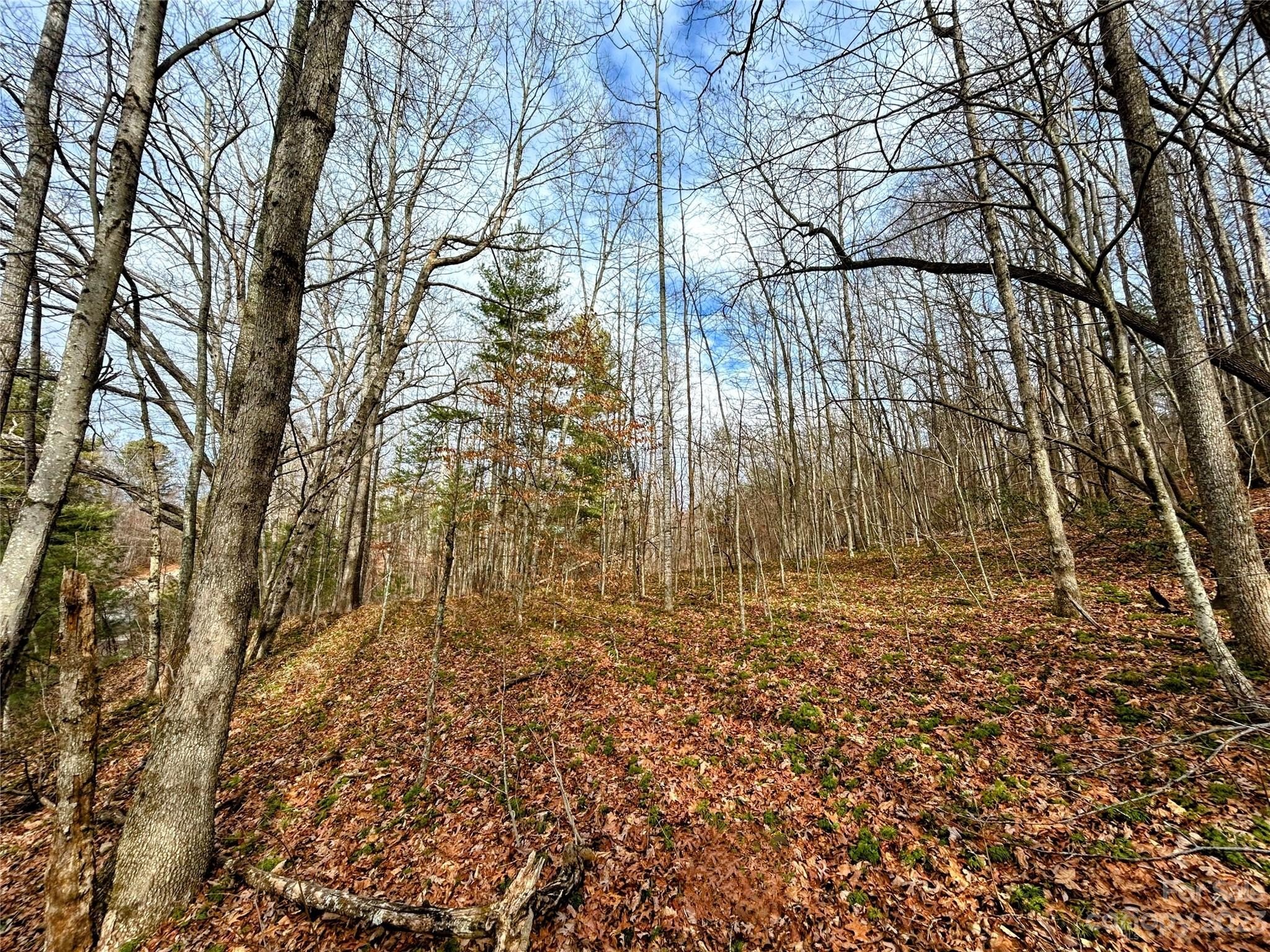 Land in Little Warrior Mountain