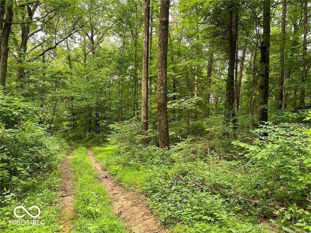 Picture 8